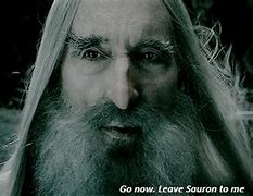 Image result for Saruman of Many Colours