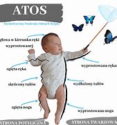 Image result for atostizo