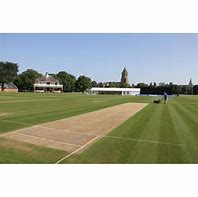 Image result for Cricket BG Square