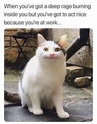 Image result for Neutral Cat Meme