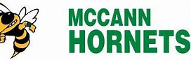 Image result for McCann Tech Hornet