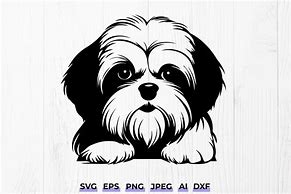 Image result for Cute Shih Tzu Puppy