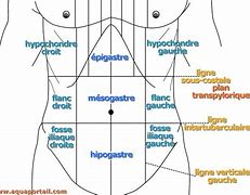 Image result for absominal