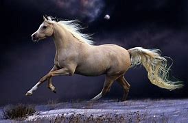 Image result for Horse Wallpaper 4K