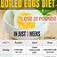 Image result for Egg and Cheese Diet 5 Day