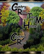 Image result for Country Roads Dolphin Meme