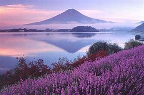 Image result for Hakone Japan