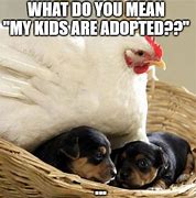 Image result for Spring Chicken Funny Meme