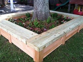 Image result for A Tree Going around a Box