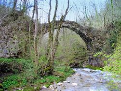 Image result for Pont Du Coq