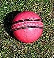Image result for Cricket Would Cup