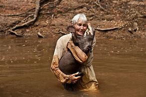 Image result for Giant Otter Human