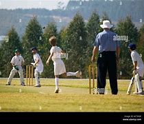 Image result for Cricket for Kids