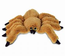Image result for Spider Loaf Toy