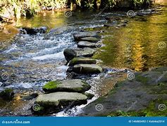 Image result for Dark Forest River Stepping Stones