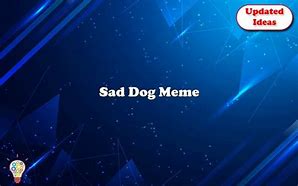 Image result for Cute Sad Dog Meme