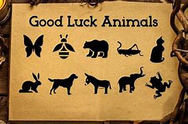 Image result for Leo Good Luck Animal