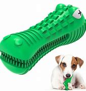 Image result for Dog Toy Bottle Chew