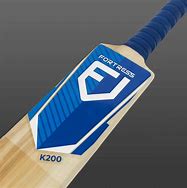 Image result for Serbian Willow Cricket Bat