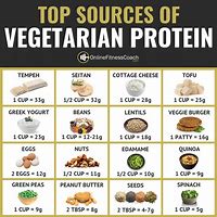 Image result for Protein Diet for Vegetarians