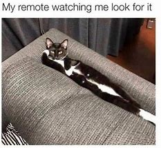 Image result for Giant Remote Meme