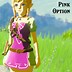 Image result for Breath of the Wild Champions Tunic Shirt