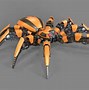 Image result for Qunne Robot Spider
