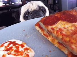 Image result for Fat Dog Pizza Meme