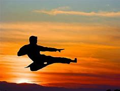 Image result for Karate Kick Martial Arts