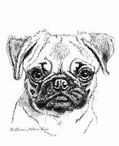 Image result for Pug Dog Art Paintings