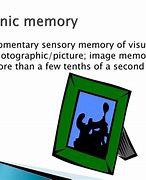 Image result for Iconic Memory Example