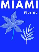 Image result for Miami Racing Fleets
