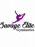 Image result for Elite Gymnastics
