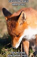 Image result for Tail Fox T Pose Meme