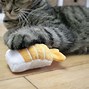 Image result for Cat Toy Photography