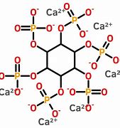 Image result for Calcium Magnesium Inositol Hexaphosphate