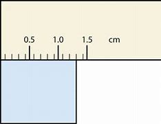 Image result for Ruler Labels