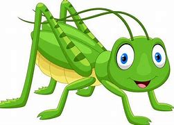 Image result for Cricket Animal ClipArt
