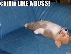 Image result for Chillin Like a Boss Meme