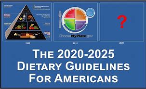 Image result for USDA Nutrition Guidelines for Adults