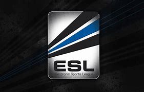 Image result for Electronic Sports Logo