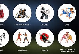Image result for MMA Types