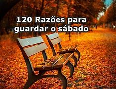 Image result for guada�o