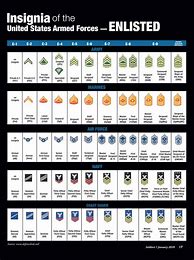 Image result for Military Ranks Chart Comparison