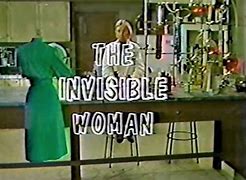 Image result for Funny Invisible Woman