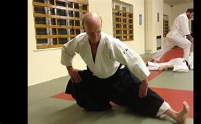 Image result for Aikido Exercises