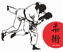 Image result for Brazilian Jiu-Jitsu Cartoon