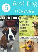 Image result for DNA Dog Meme