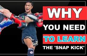 Image result for Snap Kick to the Face
