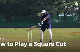 Image result for Square-Looking Cricket
